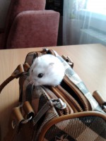 /album/merri/a2014-04-18-18-29-59-jpg/